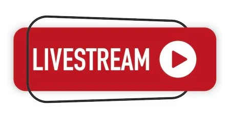 start an online business swag store