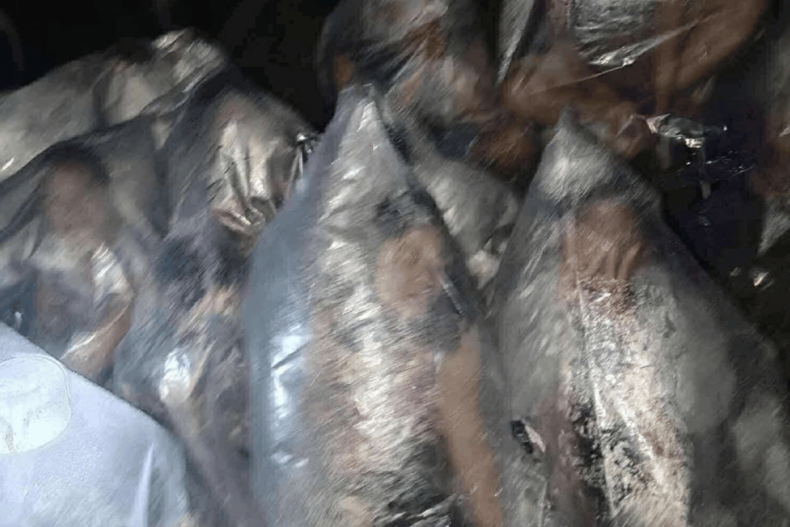 cebu earthquake relief 2025 hl pilipinas